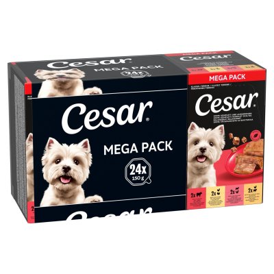CESAR Lot  24 x 150 g pour chien - Les terrines classiques