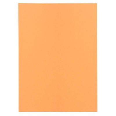 Lot de 100 sous chemises Super 60 22 x 31 cm - EXACOMPTA - Orange