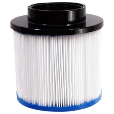 WATERHEALTH Lot de 2 cartouches filtrantes pour spa gonflable