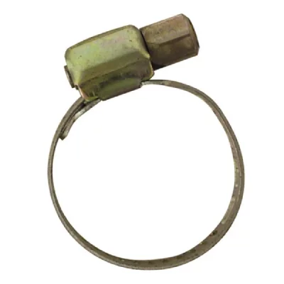 BOUTTE Lot de 2 Colliers acier largeur 8 mm serrage 14/36 tuyau &oslash; 25 Boutt&eacute;