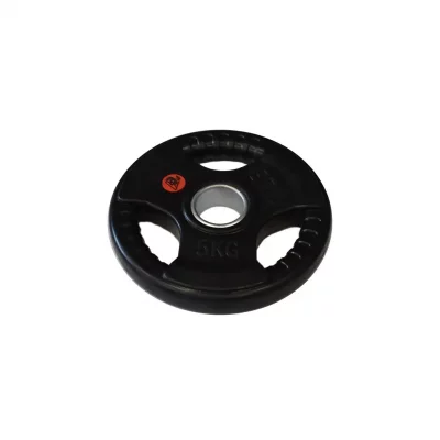 Lot de 2 disques de musculation Olympique avec poign&eacute;es Fit & Rack 5 kg