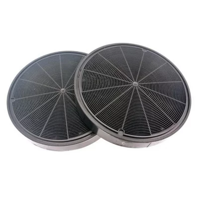 ROBLIN Lot de 2 filtres charbon type 196 Hotte 484000008674 