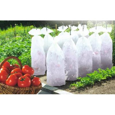 GENERIQUE Lot de 2 gaines de croissance tomate NORTENE Tomatex