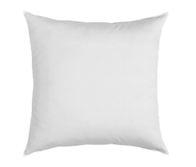 CAMIF Lot de 2 oreillers 100% plumettes de Canard Candice,-65 x 65 cm-