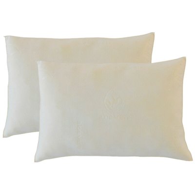 OLYMPE LITERIE Lot de 2 oreillers 50x70 M&eacute;moire de forme s
