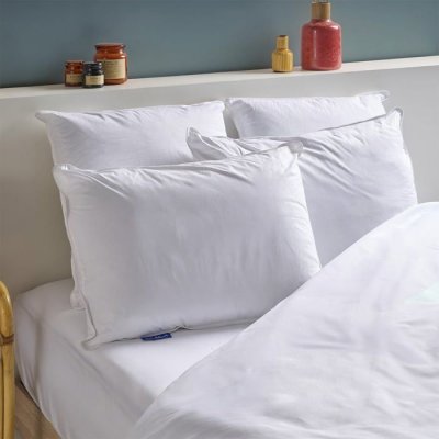 BLEU CALIN Lot de 2 oreillers anti-acariens m&eacute;moire de forme mixte 50x70cm