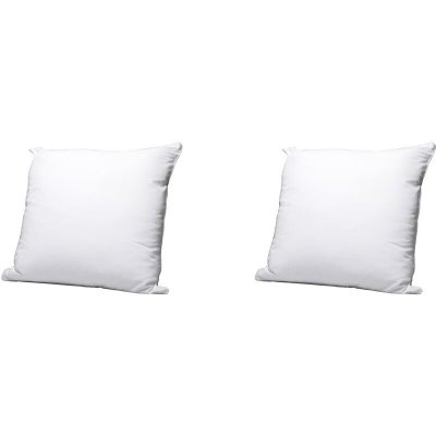 SOMEO Lot de 2 oreillers &eacute;co naturels moelleux enveloppe coton bio  60x60 