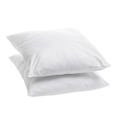 BLEU CALIN Lot de 2 oreillers moelleux coton bio 60x60cm