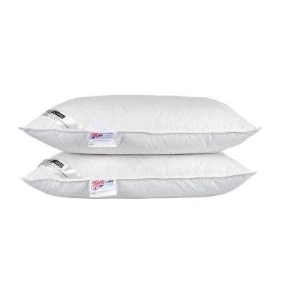 HOMESCAPES Lot de 2 oreillers naturels en plumes et duvet de canard, 50 x 75 cm