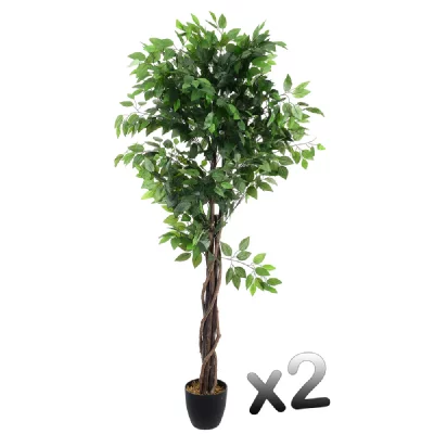 PEGANE Lot de 2 plantes artificielles Ficus Pot, Hauteur 180 cm --