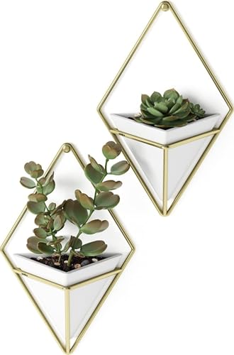 UMBRA Lot de 2 vases muraux Trigg  Dor&eacute; Triangle - Dor&eacute;