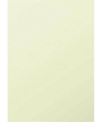 PICWIC TOYS Lot de 25 feuilles A4 - POLLEN - 210g - Vert bourgeon