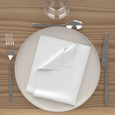 SOLEIL D OCRE Lot de 3 serviettes de table 40x40 cm ALIX blanc, par Soleil d'Ocre