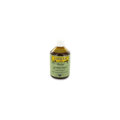 AVEL LOUIS XIII L'ATELIER 837765 M&acirc;tine Gomme Laque 500 ml
