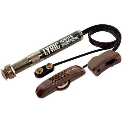 LR BAGGS  Lyric set pr&eacute;ampli pour guitare acoustique
