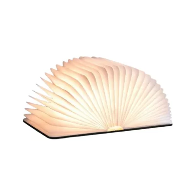 GINGKO Lumi&egrave;re livre intelligente  en cuir grand brun