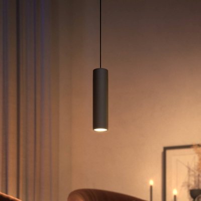 PHILIPS HUE Luminaire  W&C Perifo cylindrique Noire