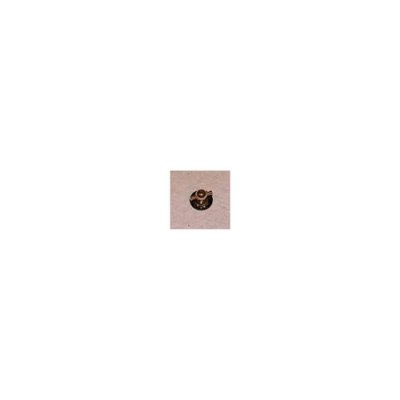 BRANDT Manette pour four  