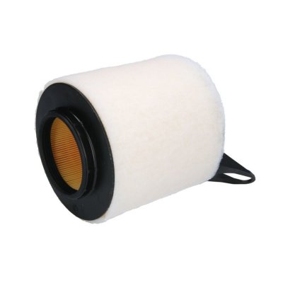 MANN FILTER MANN-FILTER Filtre &agrave; Air C 1370 &ndash; Pour v&eacute;hicule particulier