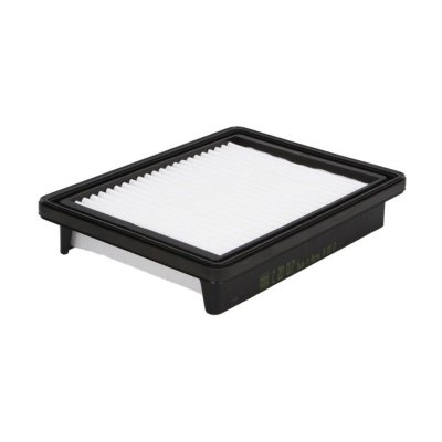 MANN FILTER Mann-Filter Filtre &agrave; Air C 2493 &ndash; pour V&eacute;hicule Particulier
