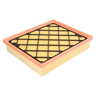 MANN FILTER MANN-FILTER Filtre &agrave; Air C 25 008/1 &ndash; Pour v&eacute;hicule particulier