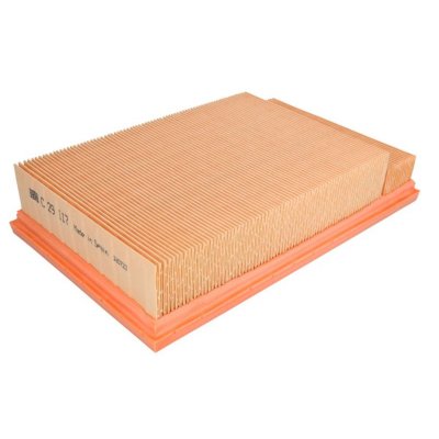 MANN FILTER MANN-FILTER Filtre &agrave; air C 29 117 &ndash; Pour v&eacute;hicules particuliers