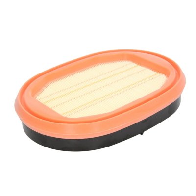 MANN FILTER MANN-FILTER Filtre &agrave; air secondaire CF 2550