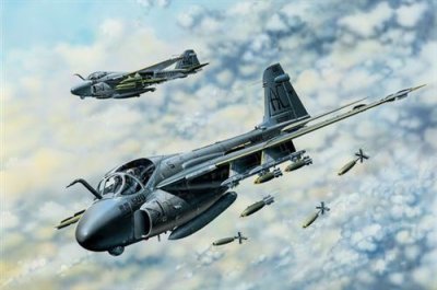 HOBBY BOSS Maquette avion  A-6E TRAM Intruder - 1/48 - Maquette d'avio