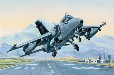  Maquette avion Hobby Boss AMX Ground Attack A. - 1/48 - Maquette d'av