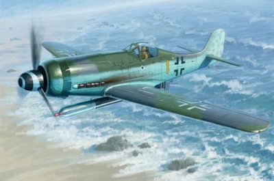 HOBBY BOSS Maquette avion  FW 190D-12 R14 - 1/48 - Maquette d'avion