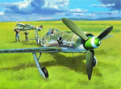 HOBBY BOSS Maquette avion  FW190D-13- 1/48 - Maquette d'avion
