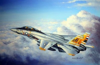HOBBY BOSS Maquette avion  Grumman F-14A Tomcat- 1/48 - Maquette d'avi