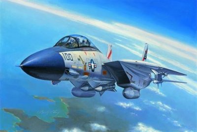 HOBBY BOSS Maquette avion  Grumman F-14A Tomcat-1/72 - Maquette d'avion