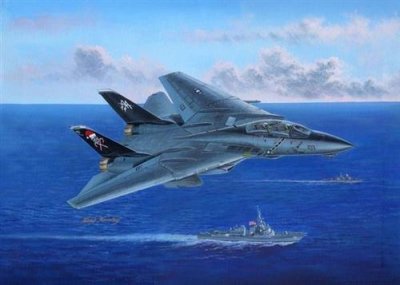 HOBBY BOSS Maquette avion  Grumman F-14B Tomcat- 1/48 - Maquette d'avi