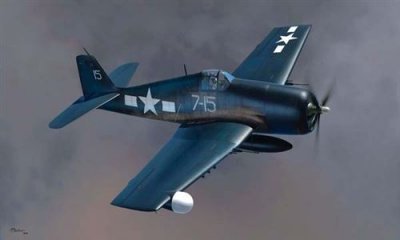 HOBBY BOSS Maquette avion  Grumman F6F-5N Hellcat - 1/48 - Maquette d'
