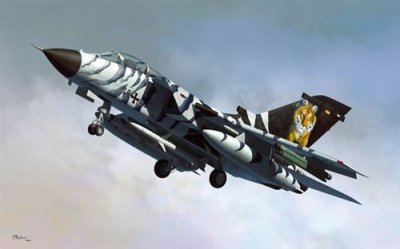 HOBBY BOSS Maquette avion  Panavia Tornado ECR - 1/48 - Maquette d'avi