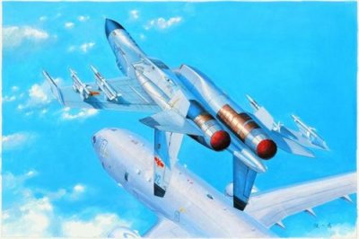 HOBBY BOSS Maquette avion  PLA J-11B - 1/48 - Maquette d'avion