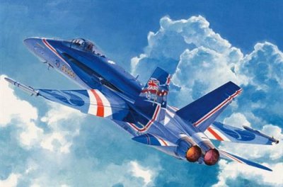  Maquette avion Hobby Boss RAAF F/A-18C Hornet- 1/48 - Maquette d'avio