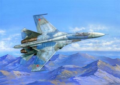  Maquette avion Hobby Boss Su-27 Flanker B 1/48- 1/48 - Maquette d'avi