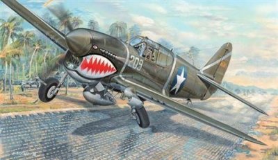 TRUMPETER Maquette Avion : P-40f War Hawk-