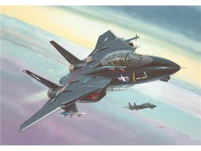 REVM Maquette avion Revell F14A Black Tomcat Model Set - coffret contenant