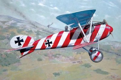 RODEN Maquette avion  Albatros D.III (OAW)- 1/32 - Maquette d'avion