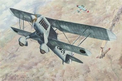 RODEN Maquette avion  Heinkel He 51B-1- 1/48 - Maquette d'avion