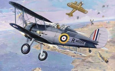  Maquette avion Roden Sea Gladiator Mk.I- 1/48 - Maquette d'avion