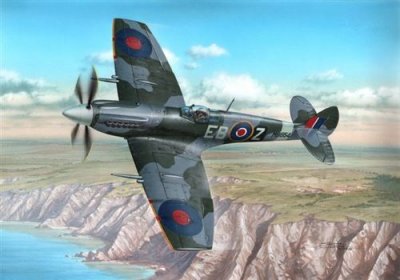 SPECIAL HOBBY Maquette avion  Supermarine Spitfire Mk.XII The Spitfire