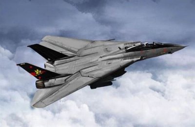 TRUMPETER Maquette avion  Grumman F-14B Tomcat- - Maquette d'avion