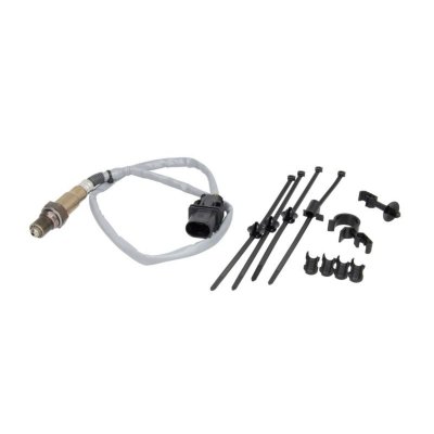 BOSCH Marchepied BLIC 6505-06-2509051P gauche