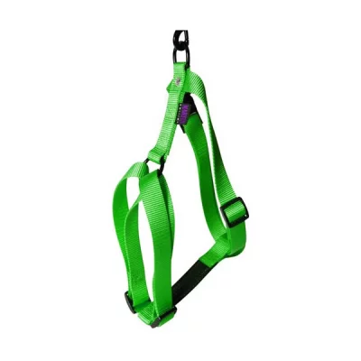MARTIN SELLIER  - Harnais nylon r&eacute;glable - 35/50 cm - vert