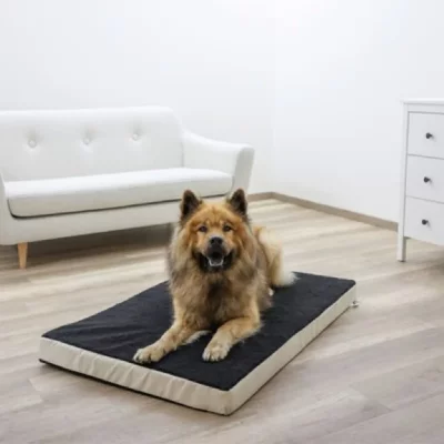 KERBL Matelas en mousse pour chiens 80 x 50 cm Beige et Gris 80326  n/a