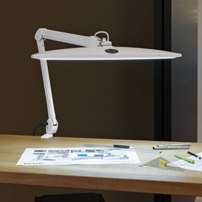 MAUL  &ndash; Lampe &agrave; diodes pour poste de travail - 6500 K -